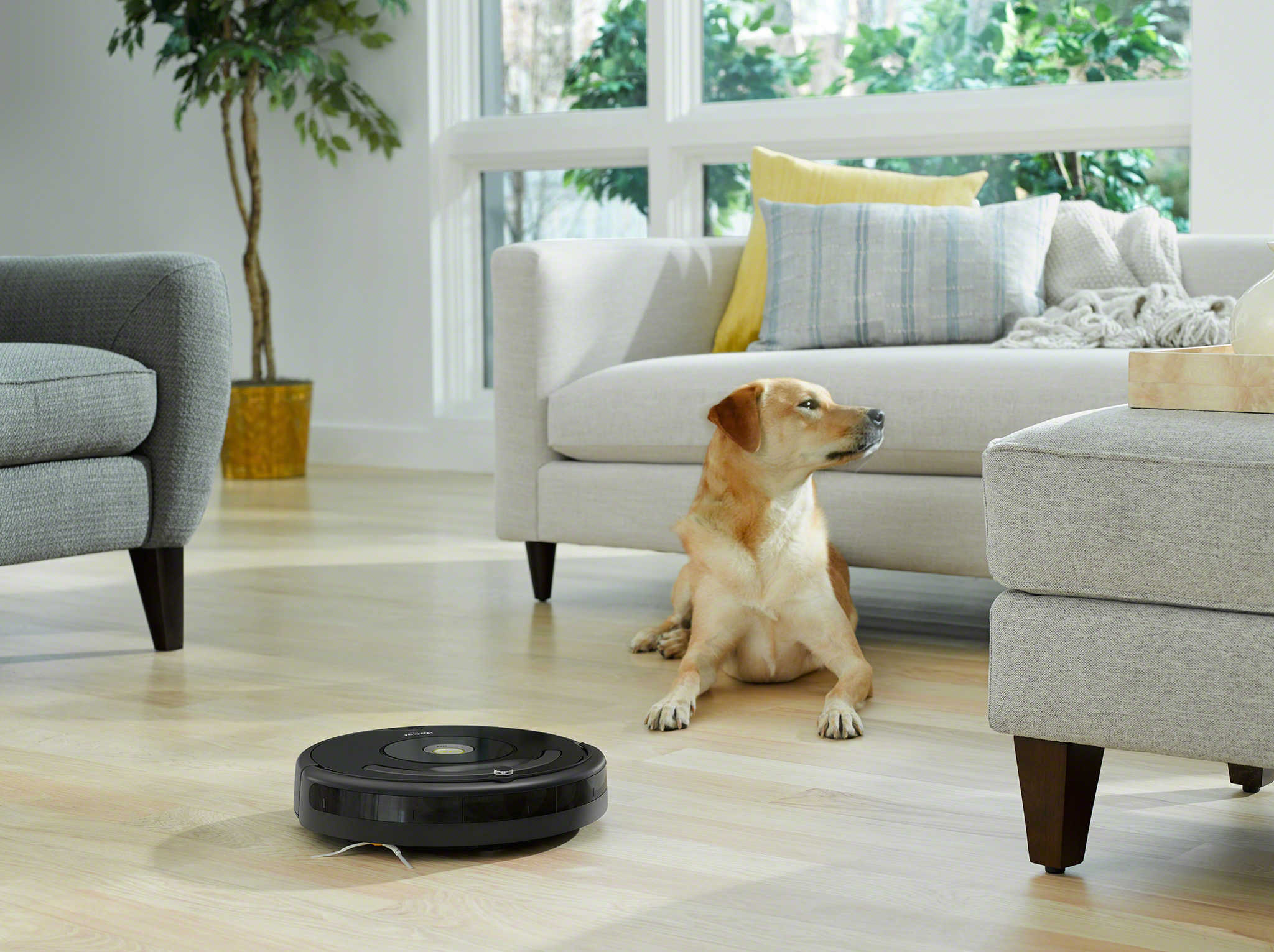 Featured image for Best iRobot Roomba Robot Vacuums – December 2023