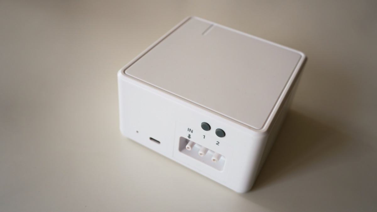 Netro Stream pārī istabas augus