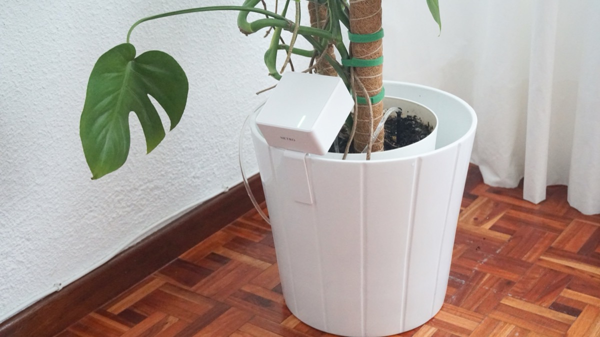 Netro Stream par plantas de interior