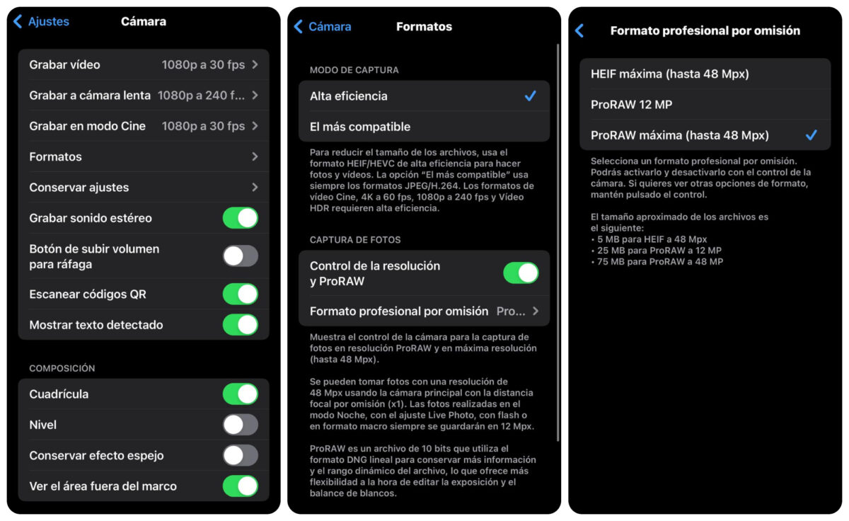 Jpg vai ProRaw fotoattēli tālrunī Iphone 15 Pro
