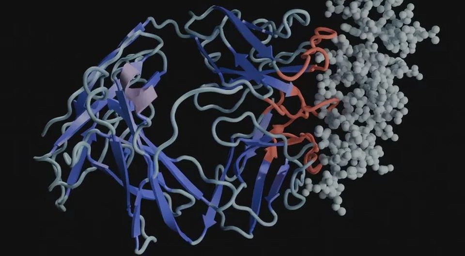 EvolutionaryScale, mākslīgais intelekts bioloģijas jaunuzņēmumam, piesaista finansējumu 142 miljonu dolāru apmērā, lai radikāli mainītu zāļu atklāšanu un dzīvības zinātnes.
