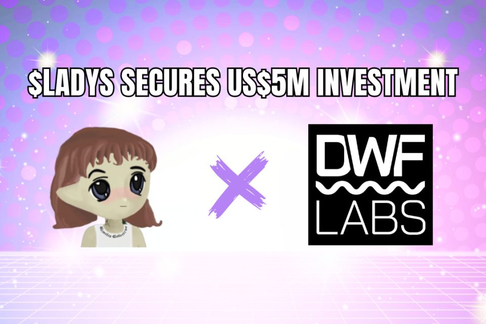 Milady Meme Coin nodrošina 5 miljonu ASV dolāru ieguldījumu no DWF Labs