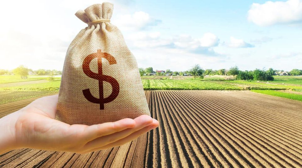 Agrotoken sadarbojas ar Tanssi, lai revolucionizētu lauksaimniecības finansējumu Dienvidamerikā, izmantojot blokķēdi
