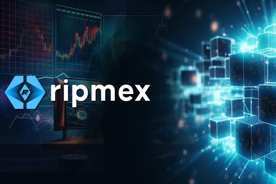 Ripmex debitē RPX žetonus pirmspārdošanas: bez komisijas maksas tirdzniecība jaunam finanšu laikmetam