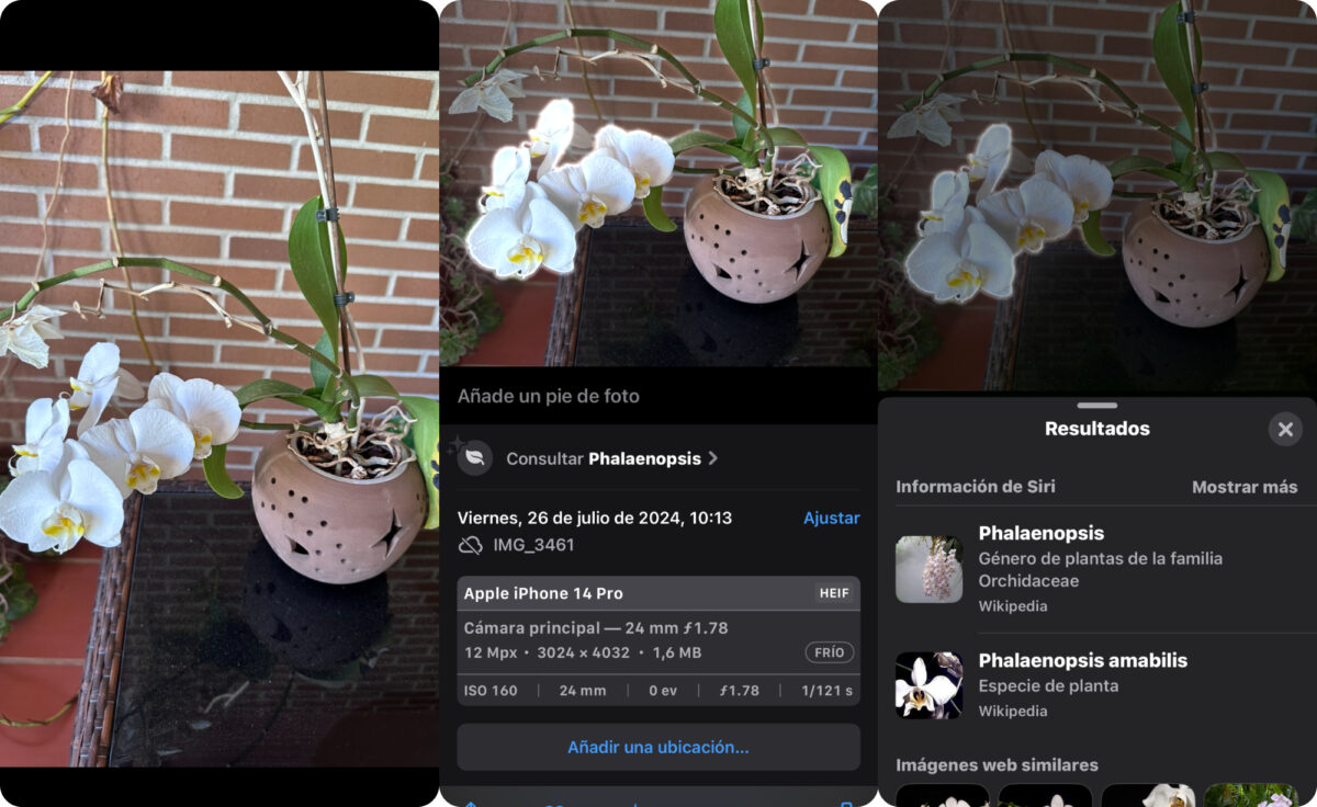 iOS 17 un tās jaunās funkcijas kamerā