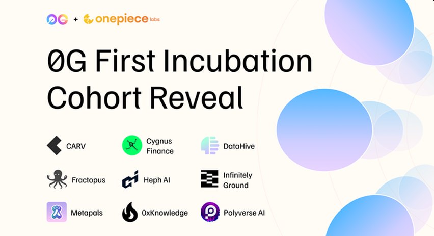 0G Foundation un OnePiece Labs apvieno spēkus, lai uzsāktu jaunu inkubatora programmu Web3 un AI jaunizveidotiem uzņēmumiem