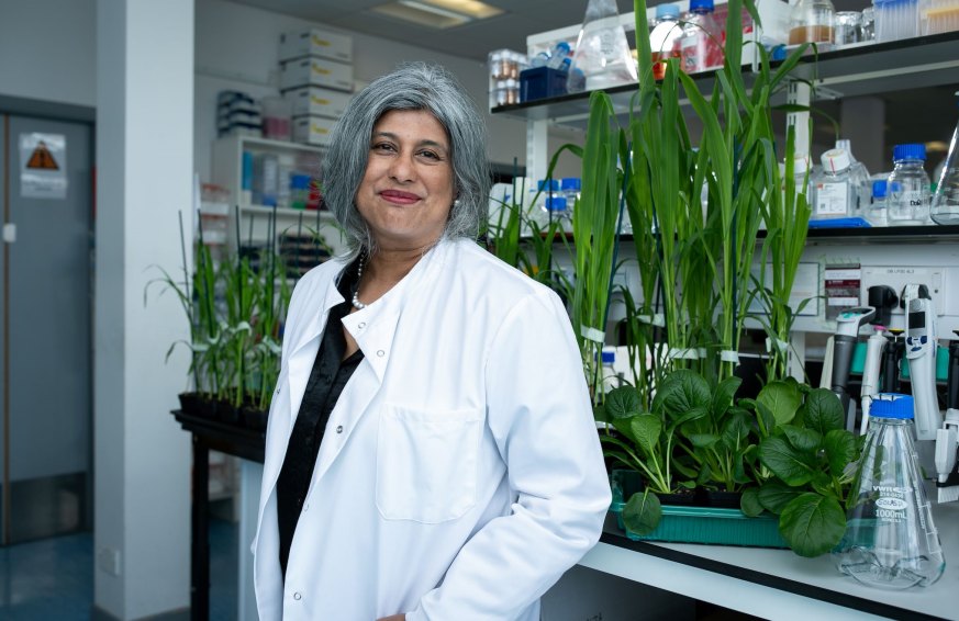 Apvienotās Karalistes biotehnoloģiju jaunuzņēmums SOLASTA piesaista finansējumu 14 miljonu dolāru apmērā, lai mainītu kultūraugu aizsardzību un izjauktu insekticīdu tirgu