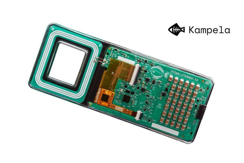 Kampela nodrošina Polkadot tīkla ieguldījumus, kļūst par pirmo pilnībā DAO finansēto aparatūras maku