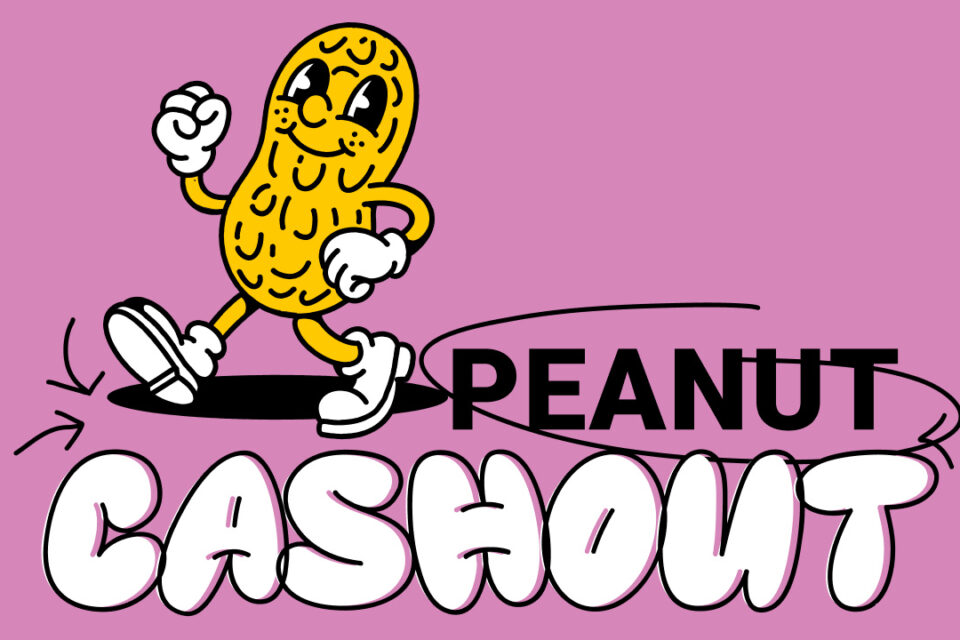 Peanut izlaiž tūlītēju offramp — Tech Startups