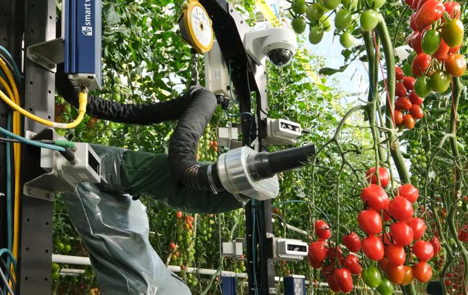 YC atbalstītais robotikas jaunuzņēmums Four Growers nodrošina 9 miljonus ASV dolāru A sēriju, lai novērstu siltumnīcu darbaspēka trūkumu ar AI robotiem
