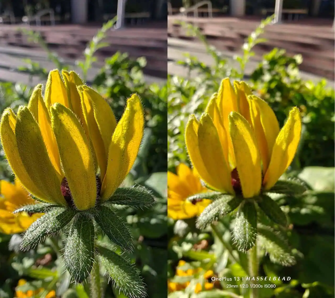 Galaxy S25 Ultra vs OnePlus 13 17 liels