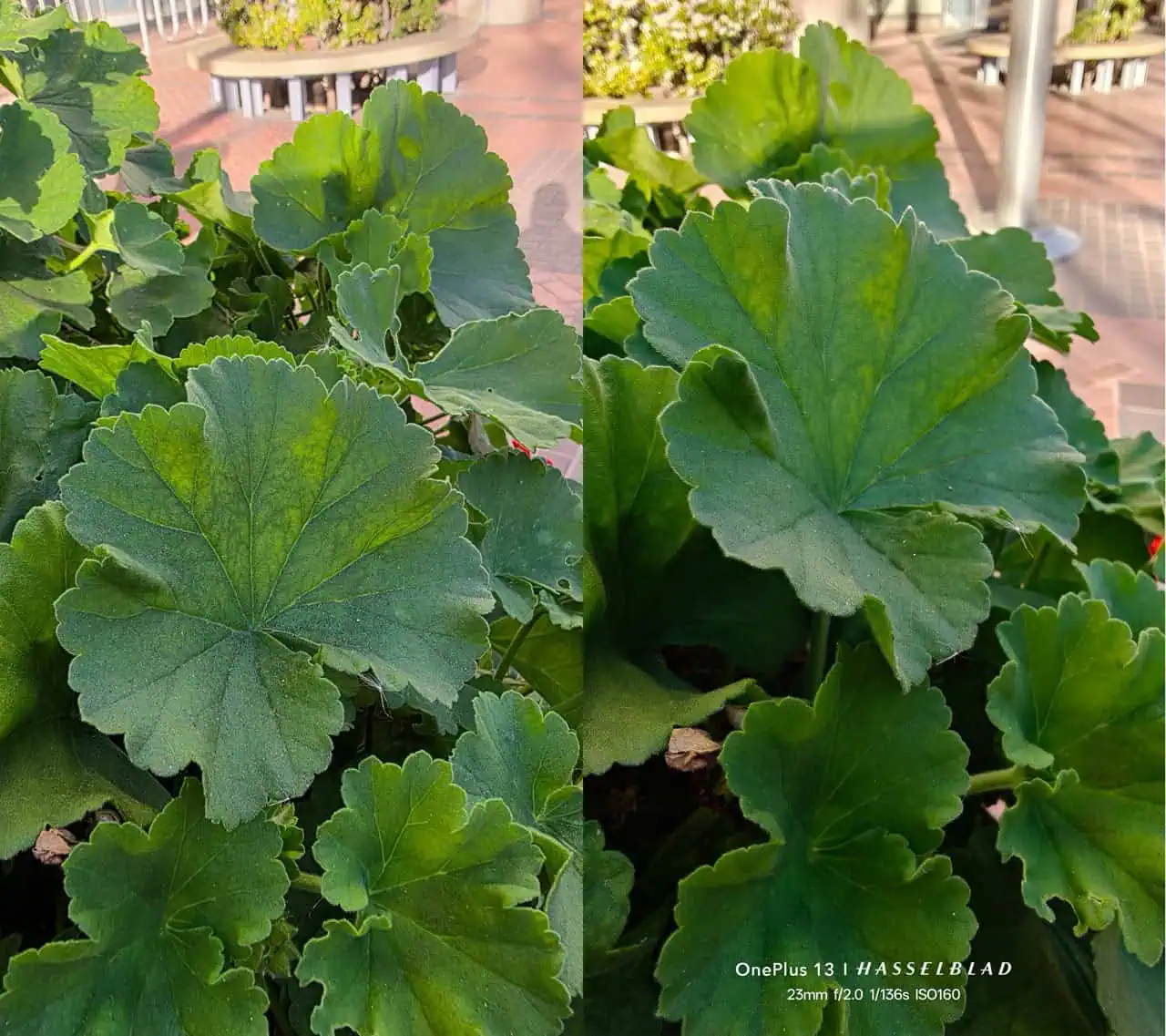 Galaxy S25 Ultra vs OnePlus 13 16 liels