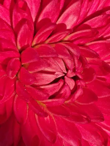 OPPO Atrodiet N5 oficiālo kameras paraugu 3