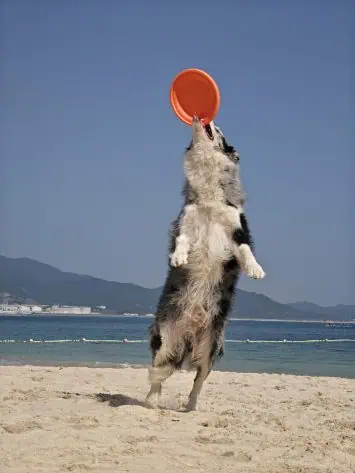 OPPO Atrodiet N5 oficiālo kameras paraugu 2