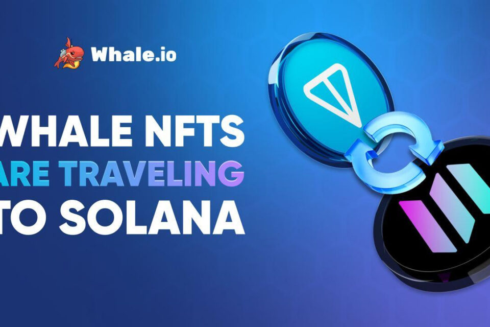 Whale NFT Bridge iet tiešraidē: tonna uz Solana Migration palaišanu vietnē Bridgemedaddy.com