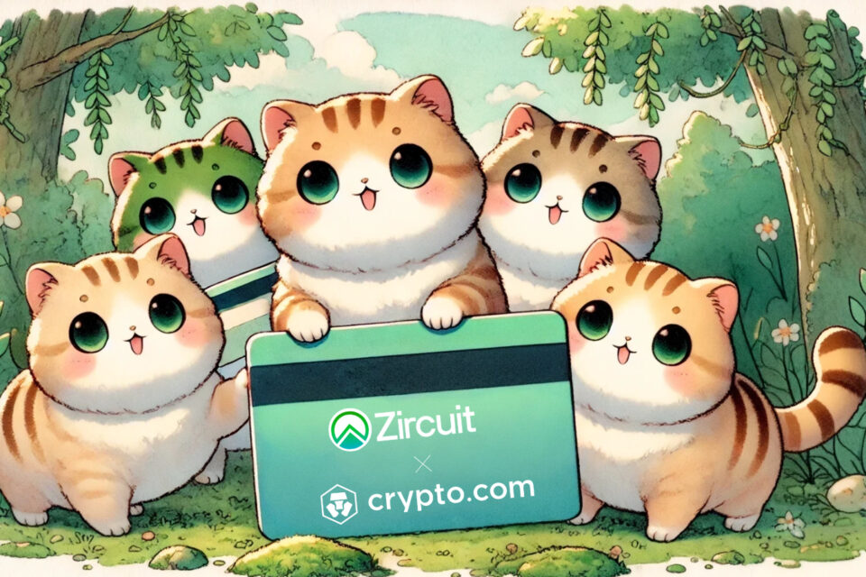Circuit nodrošina Crypto.com vīzu kartes, kas nav aizgādnības maka papildinājumi