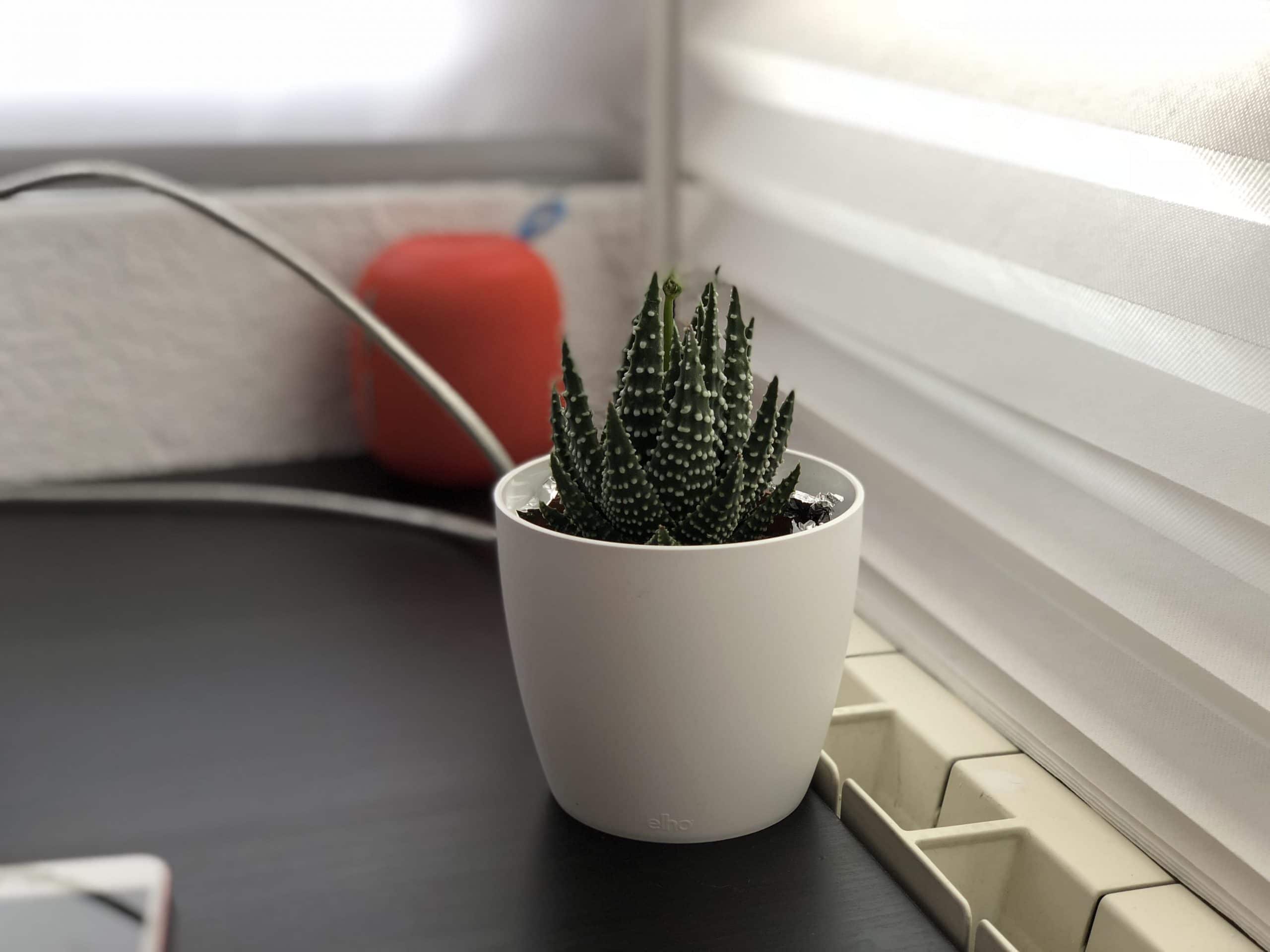 IPad portreta režīms