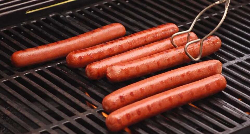 Cilvēka DNS karstajiem suņiem: kas jums jāzina