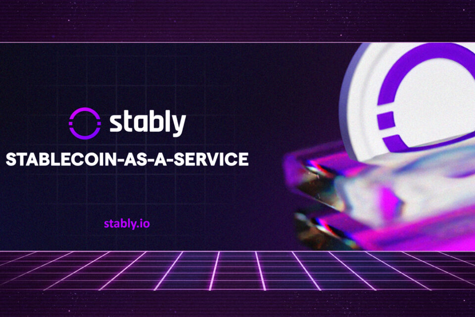 Stabili ievieš Stablecoin izstrādes un konsultāciju pakalpojumus iestādēm un uzņēmumiem
