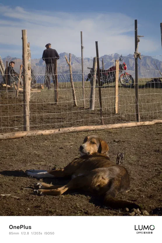 OnePlus 15 kameras paraugs 2