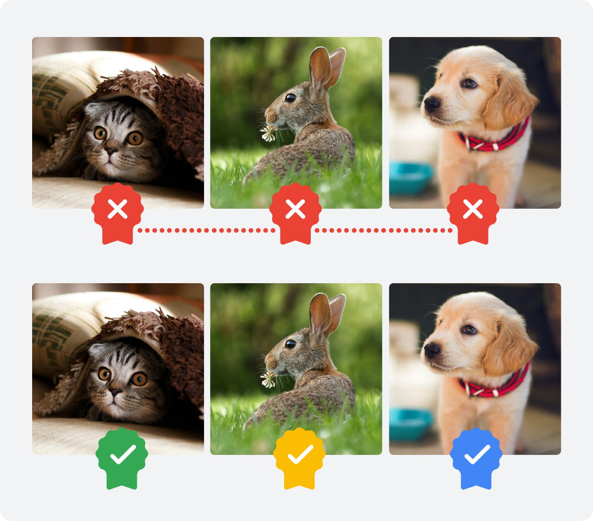Google Pixel 10 satura akreditācijas dati (1)