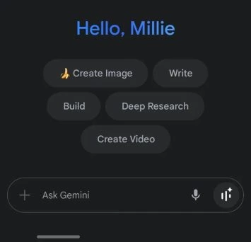 Pārsega ekrāns Dvīņi