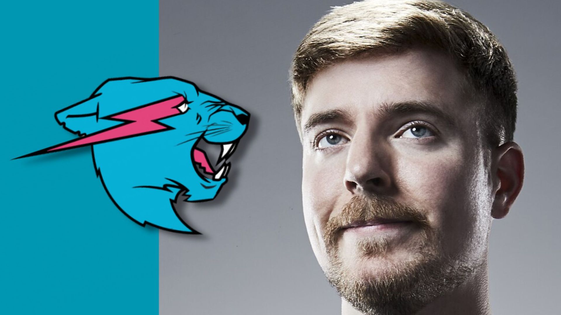 Tiek ziņots, ka Mrbeast nākamgad laidīs klajā mobilā tālruņa pakalpojumu