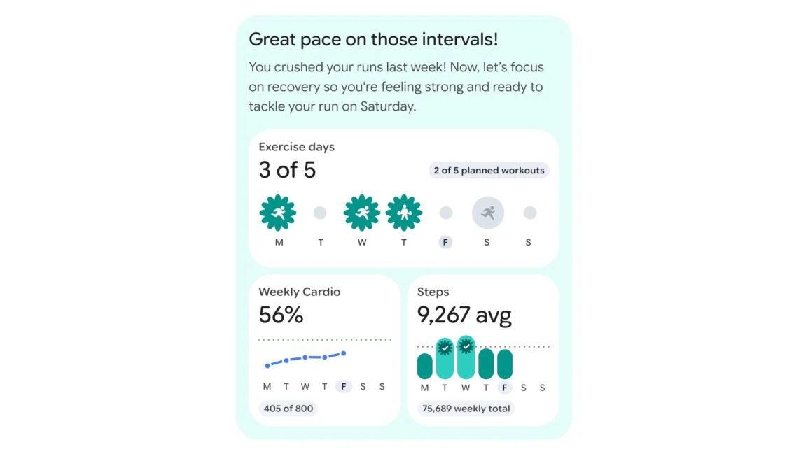 Fitbit personīgās veselības trenera priekšskatījums (3)