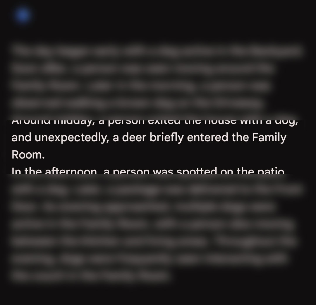 Google Gemini for Home AI nepareizas identifikācijas precizitāte 1