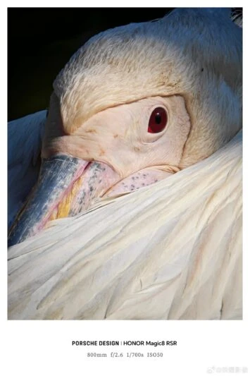 HONOR Magic 8 RSR ārējā objektīva paraugs 5