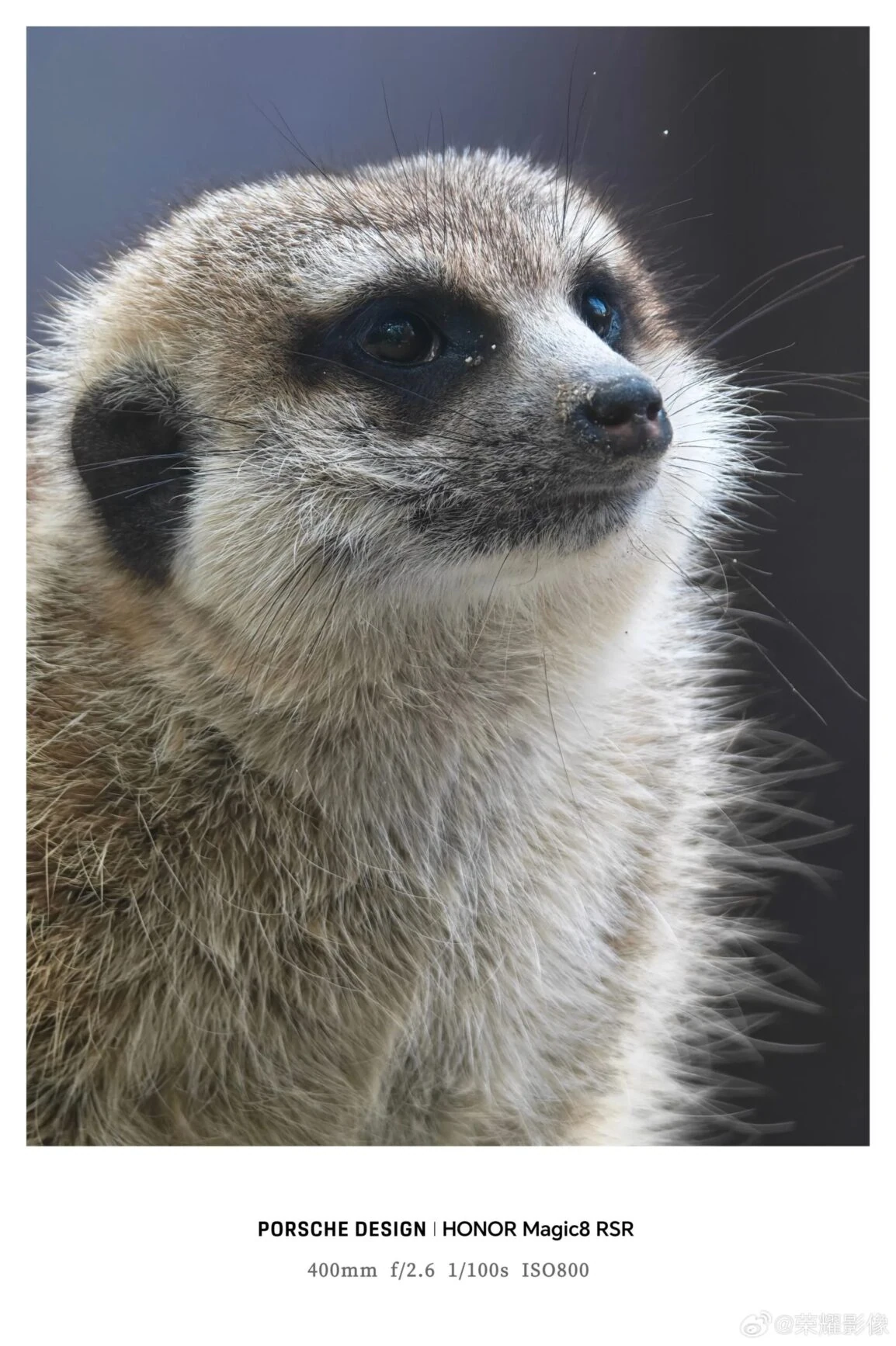 HONOR Magic 8 RSR ārējā objektīva paraugs 3