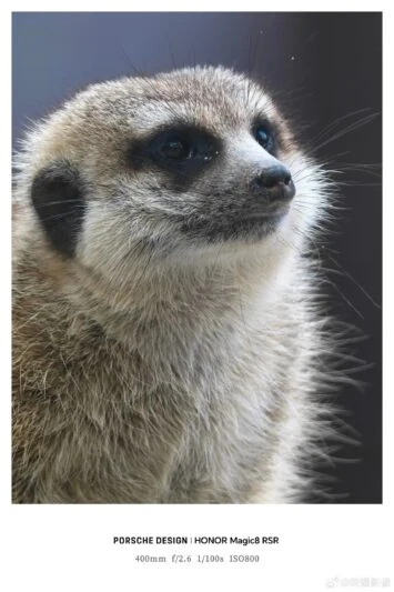 HONOR Magic 8 RSR ārējā objektīva paraugs 3