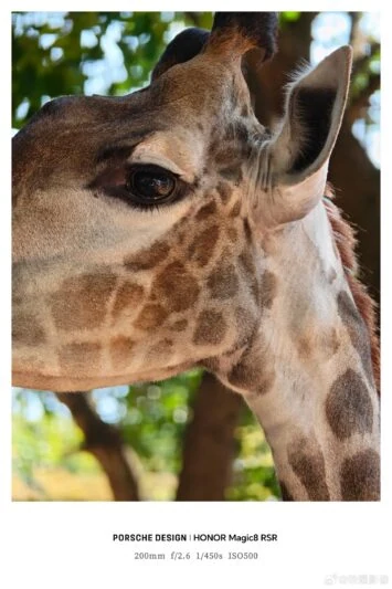 HONOR Magic 8 RSR ārējā objektīva paraugs 4