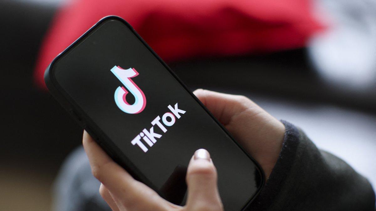 TikTok privātuma bērni TikTok privātuma bērni