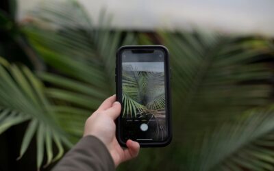 Kā identificēt augus ar savu iPhone kameru: pilnīgs ceļvedis