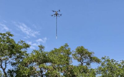 Beļģijas bezpilota lidaparāta pilots izmēģina jaunu metodi, lai cīnītos pret Āzijas sirseņu ligzdām lielā augstumā